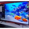 Телевизор TCL 4K UHD 140 см