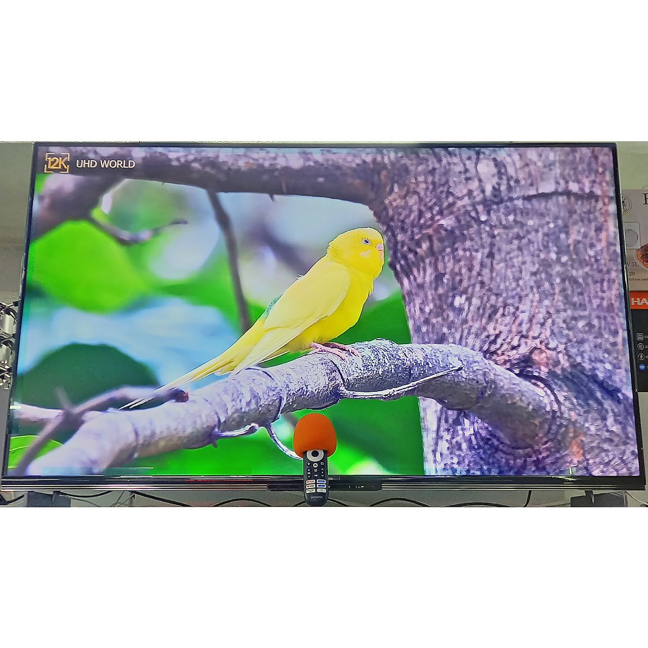 Телевизор Skyworth 4K UHD 140 см (караоке)